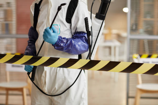 Professional Sewage Cleanup technician working in Raymond, IL